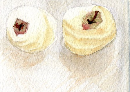 Peeled Apples Study