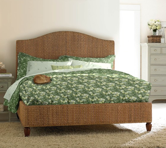 hydrangeas_bed_musico