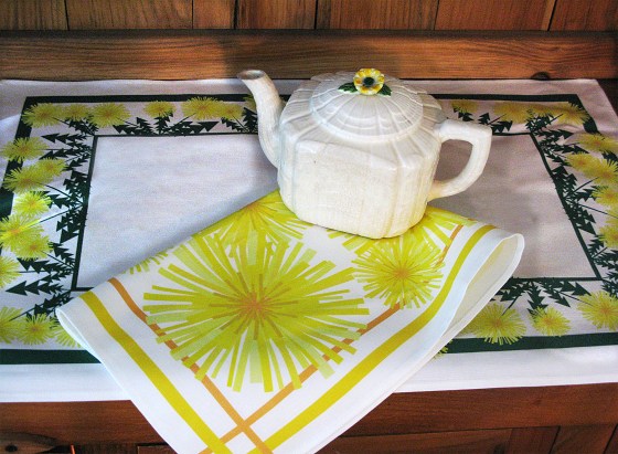 Owls and Pigeons, Alexandra Augustine